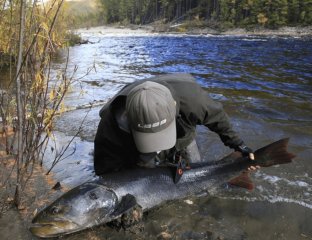 Горизонт-Экстрим: Трофейная рыбалка, сплавы и экспедиции для искателей настоящих ощущений