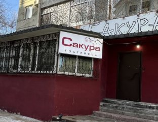 Сакура