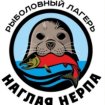 Наглая нерпа