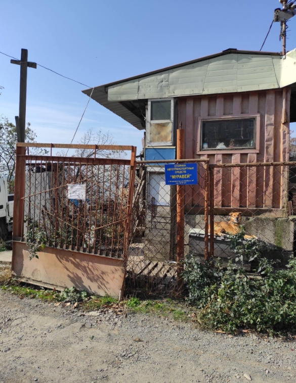 Фото организации