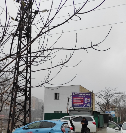 Фото организации