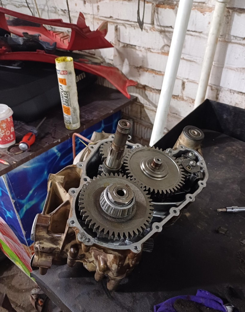 Фото организации