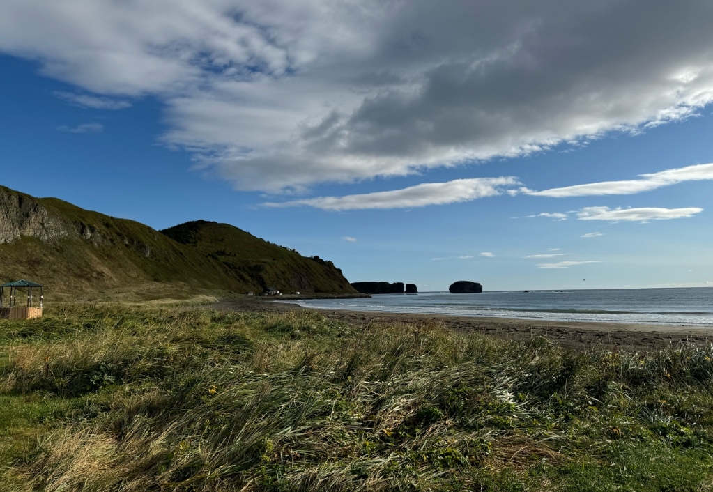 Фото организации