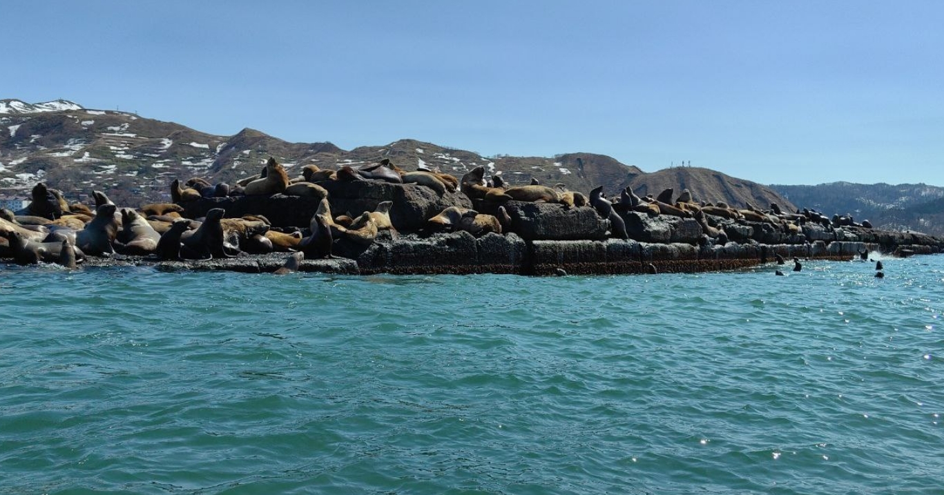 Фото организации