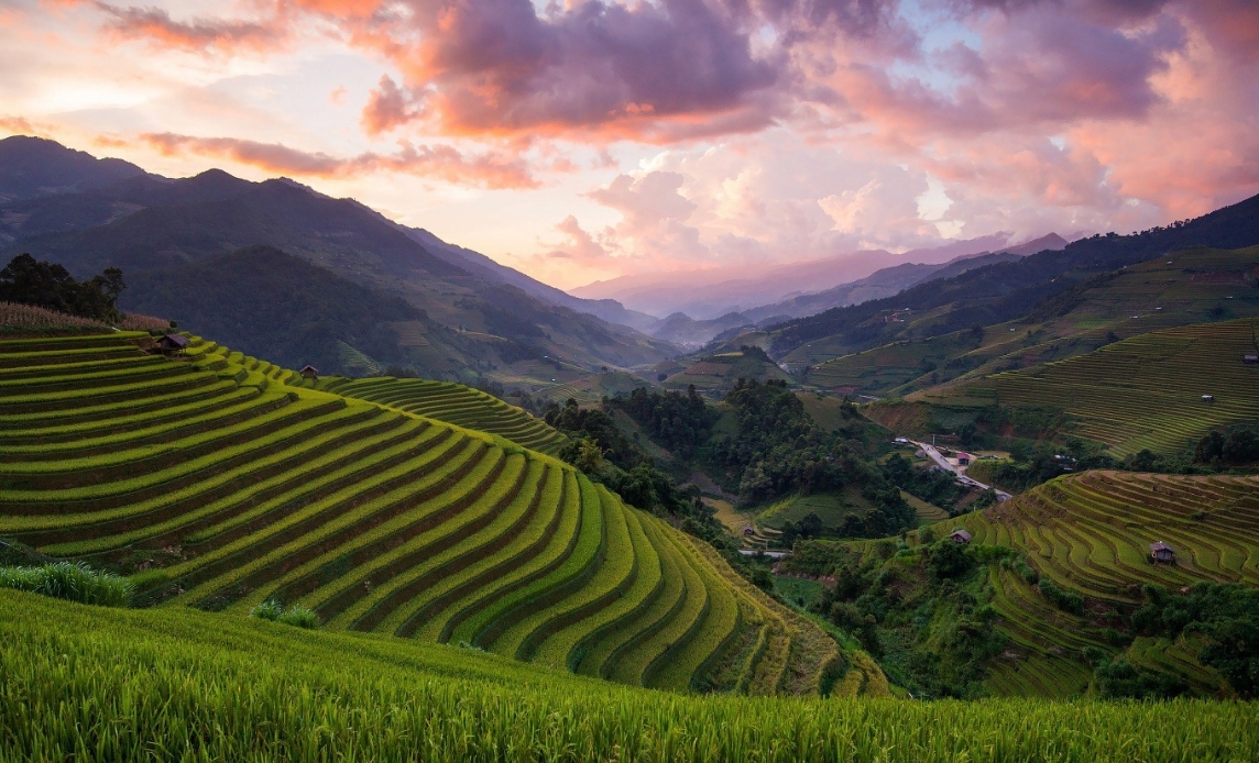 Фото организации