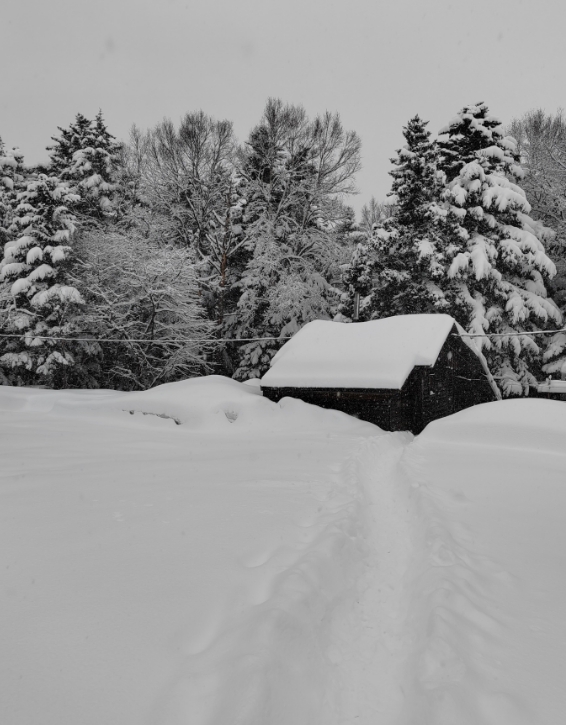 Фото организации