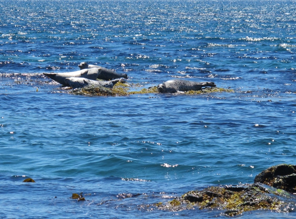 Фото организации