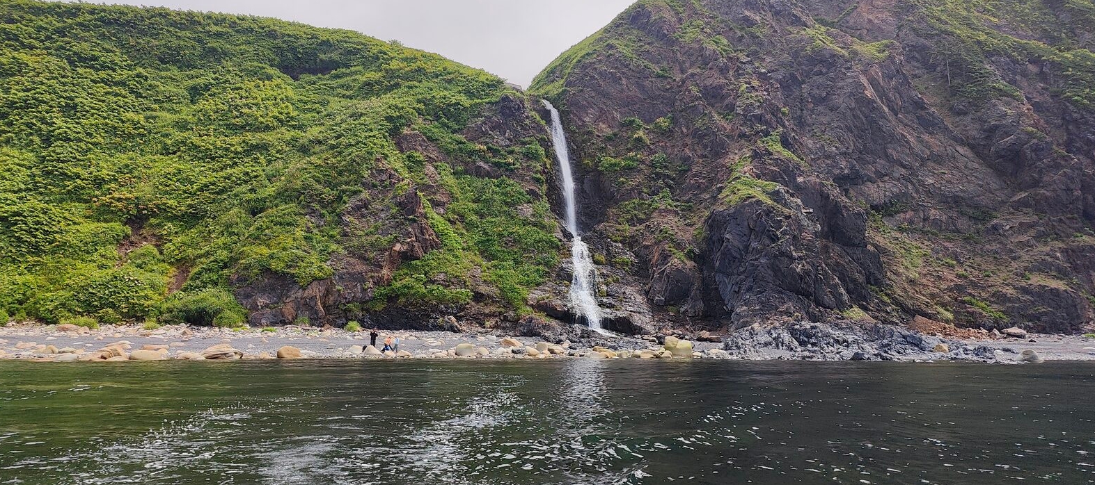 Фото организации