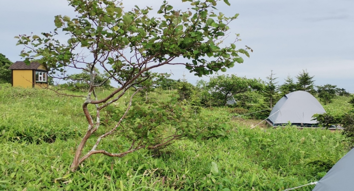 Фото организации