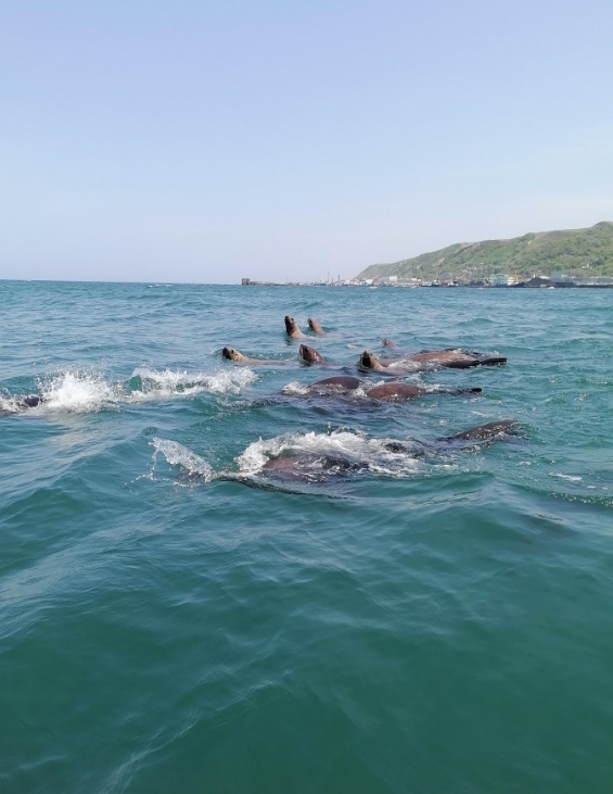 Фото организации