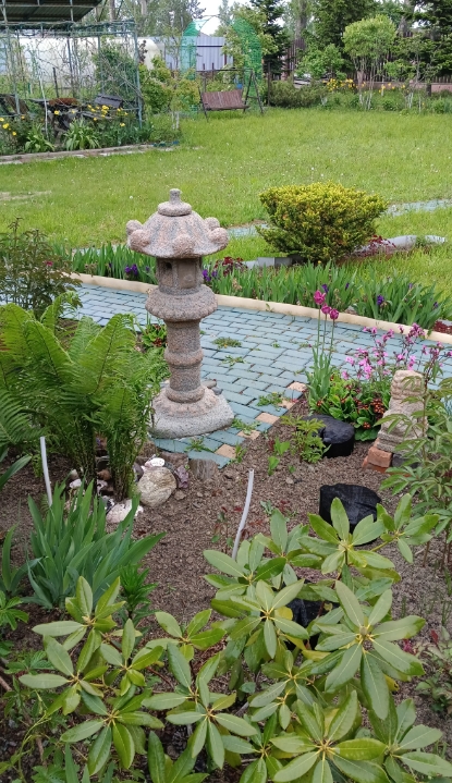 Фото организации