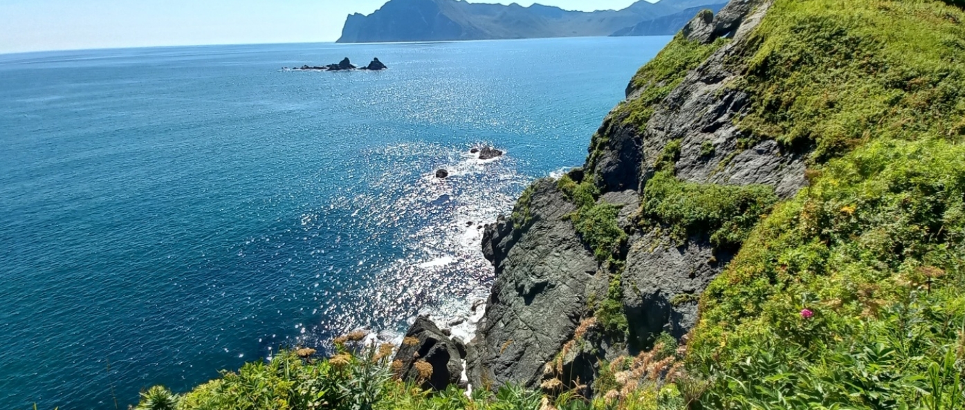 Фото организации