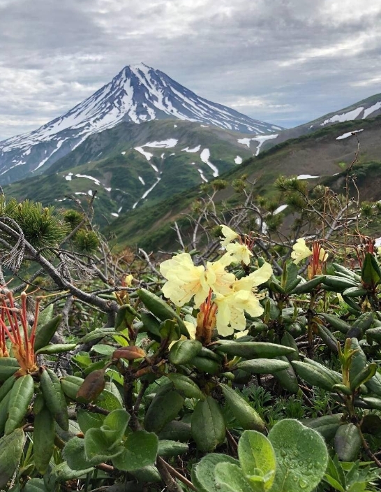 Фото организации