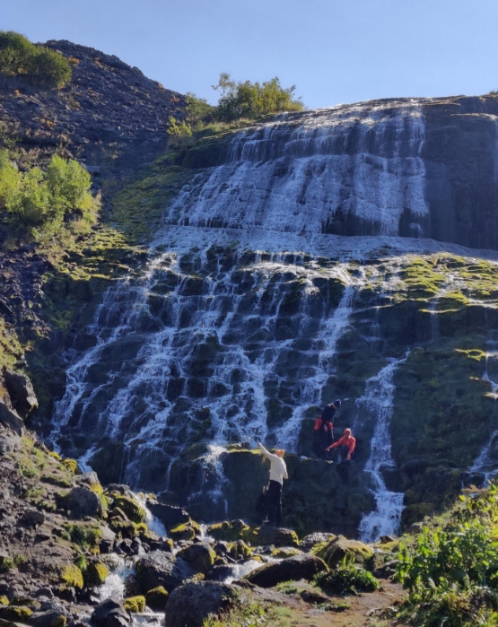 Фото организации