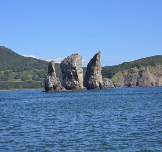 Фото организации