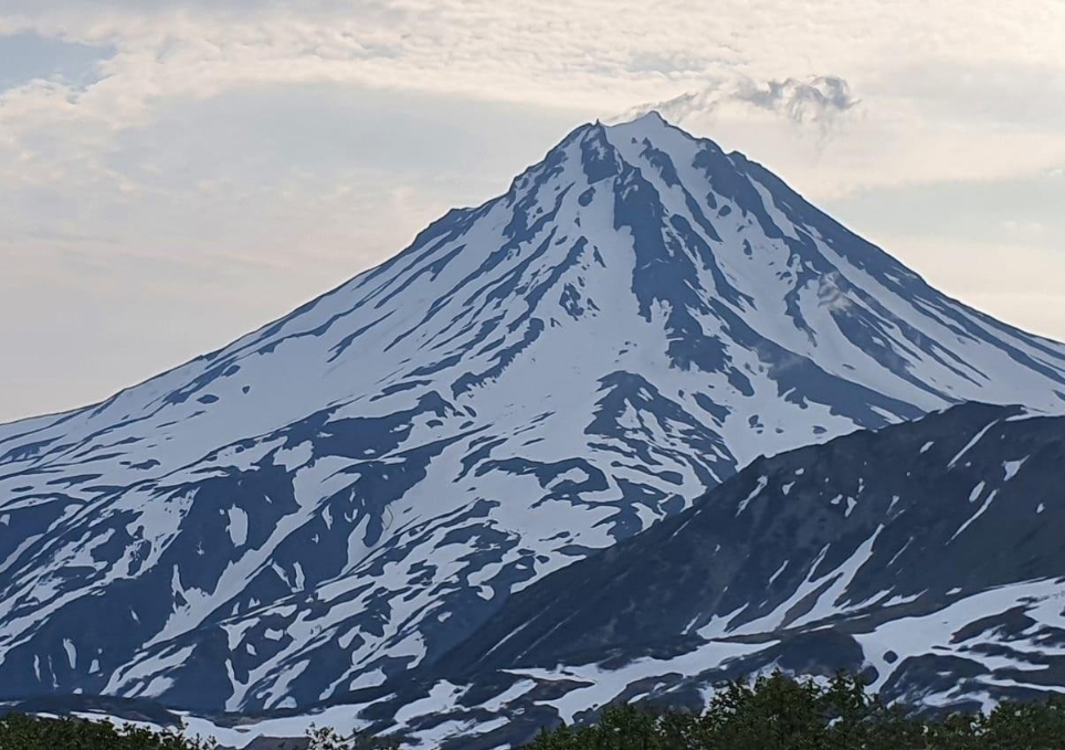 Фото организации
