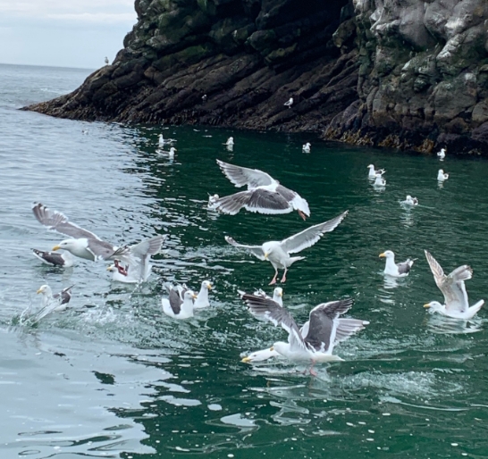 Фото организации