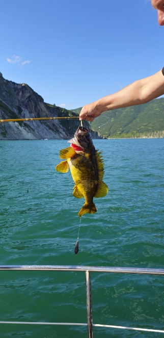 Фото организации