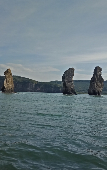 Фото организации