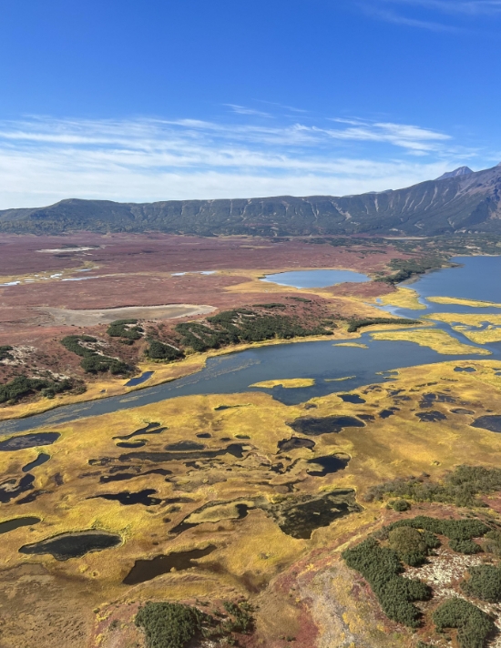 Фото организации
