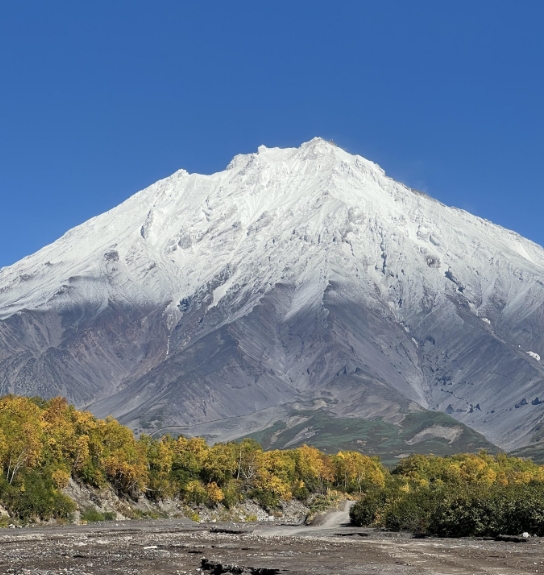 Фото организации