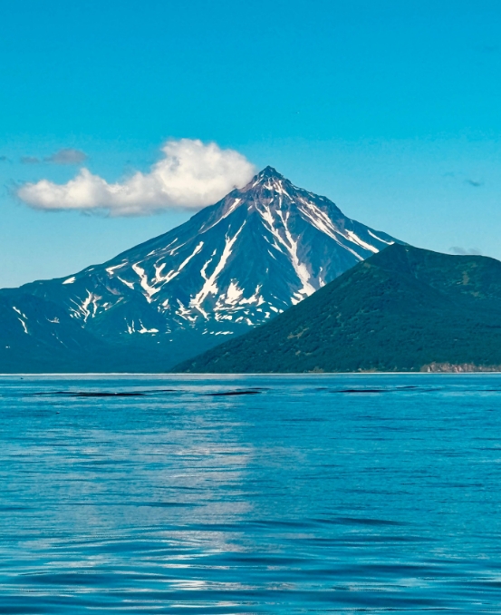 Фото организации