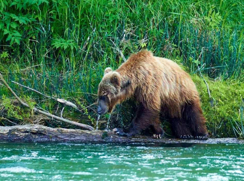 Фото организации