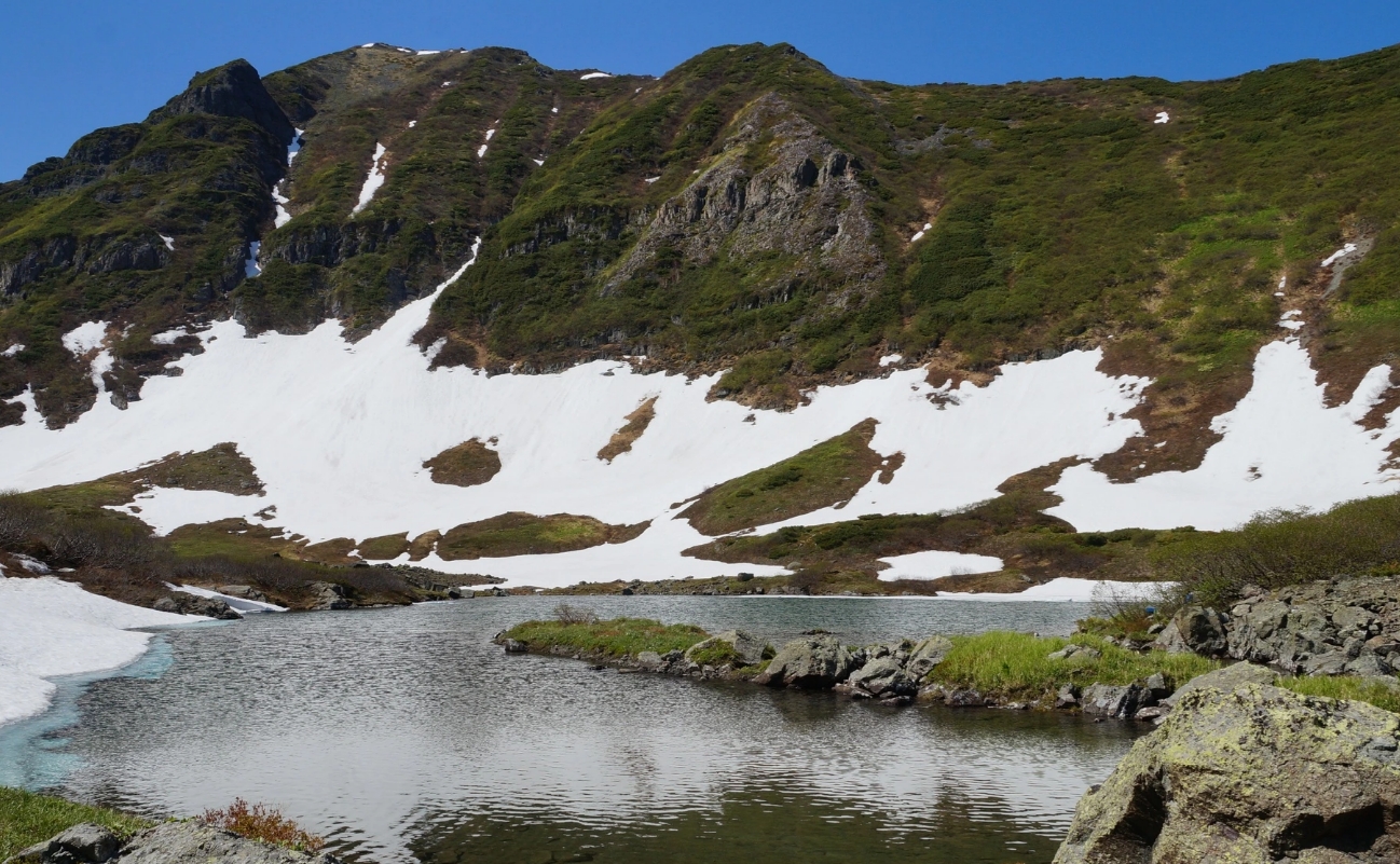 Фото организации