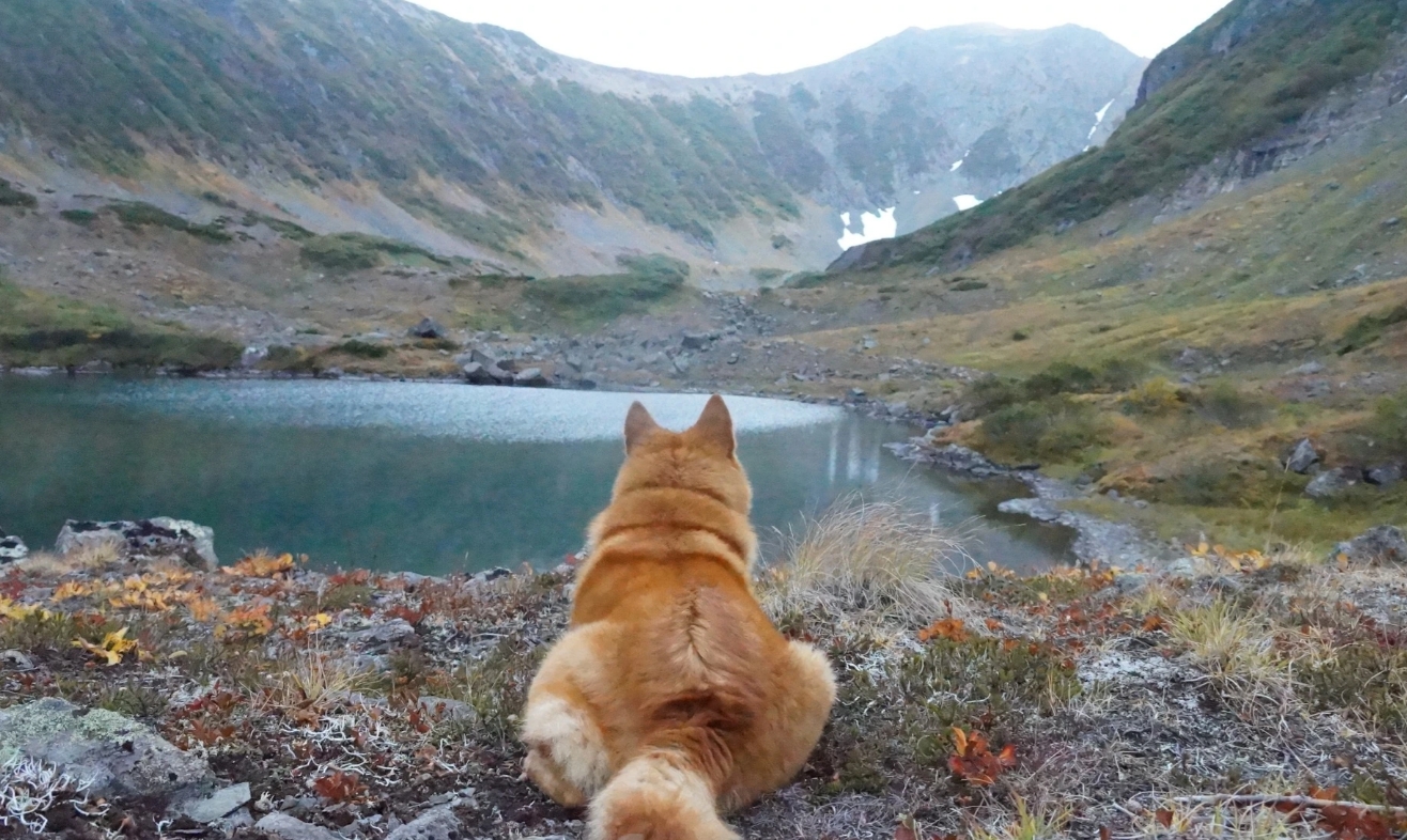 Фото организации