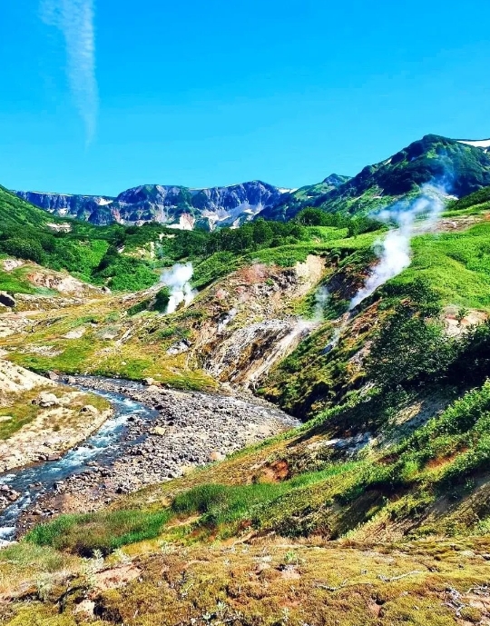 Фото организации