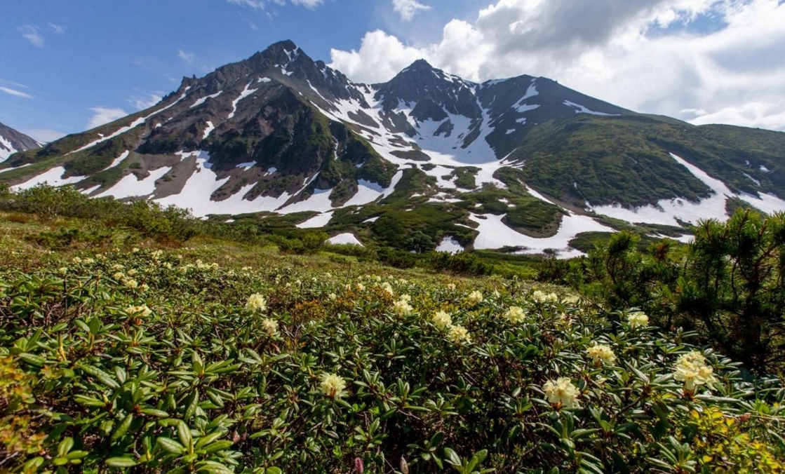 Фото организации