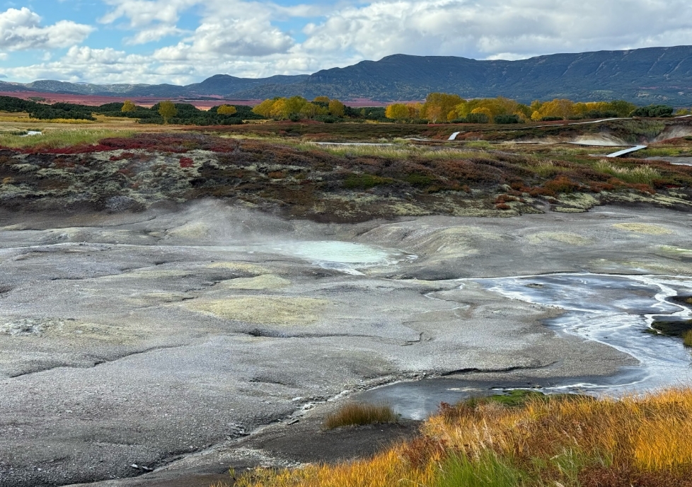Фото организации