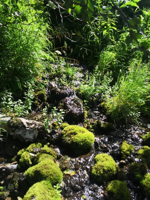 Фото организации