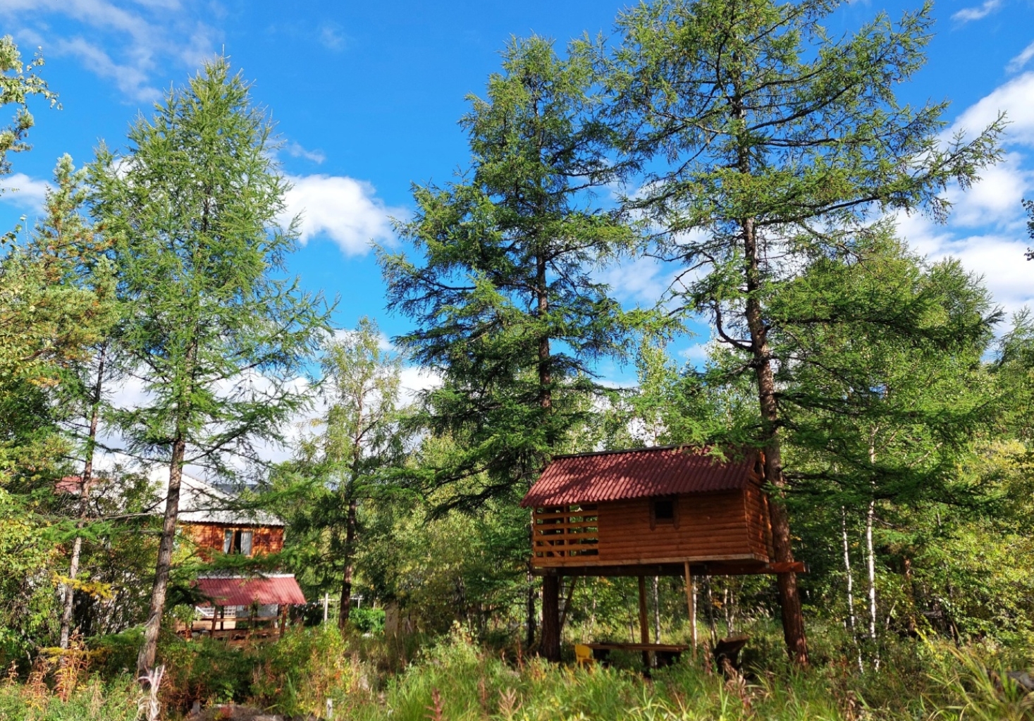 Фото организации