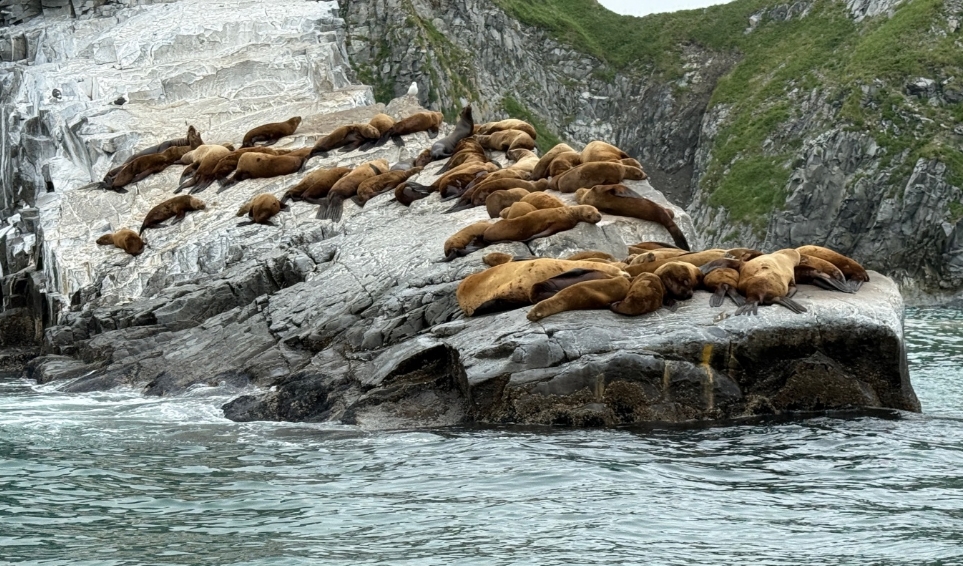 Фото организации