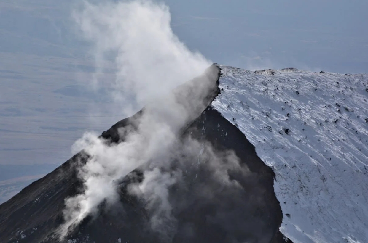 Фото организации