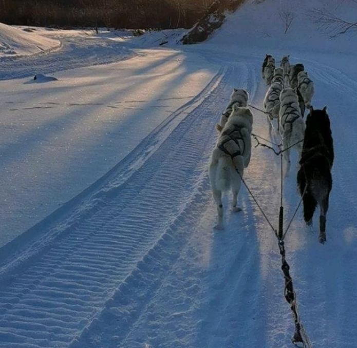 Фото организации