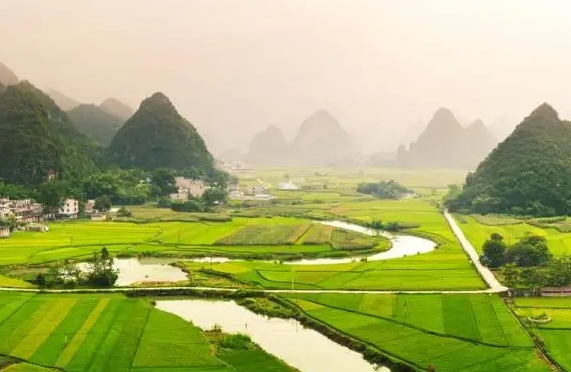 Фото организации