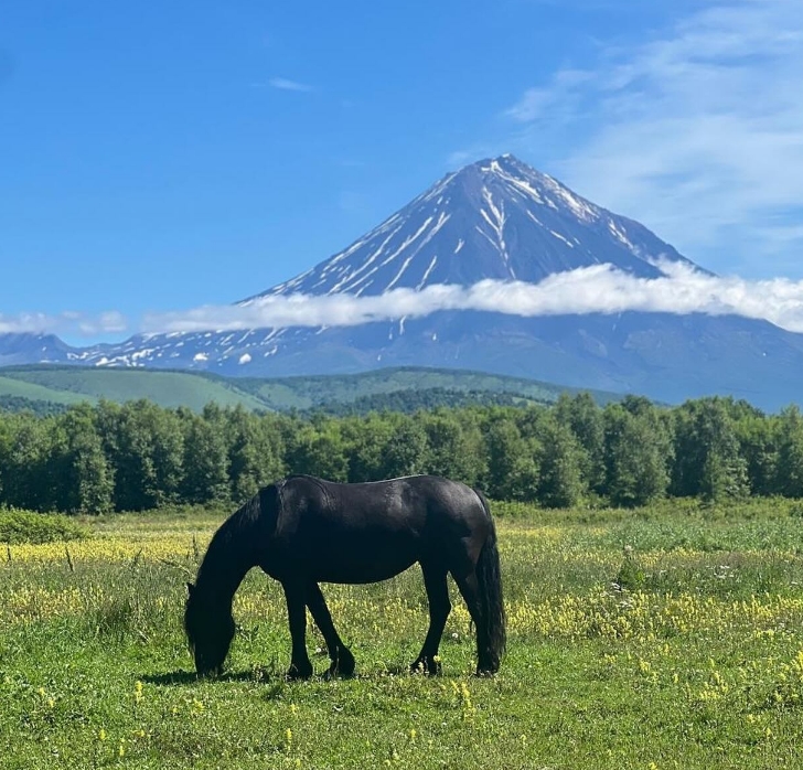 Фото организации