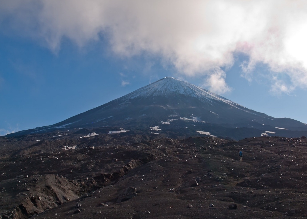 Фото организации