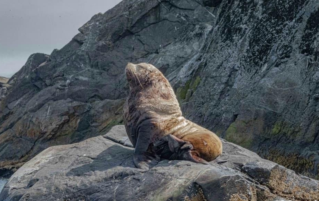 Фото организации