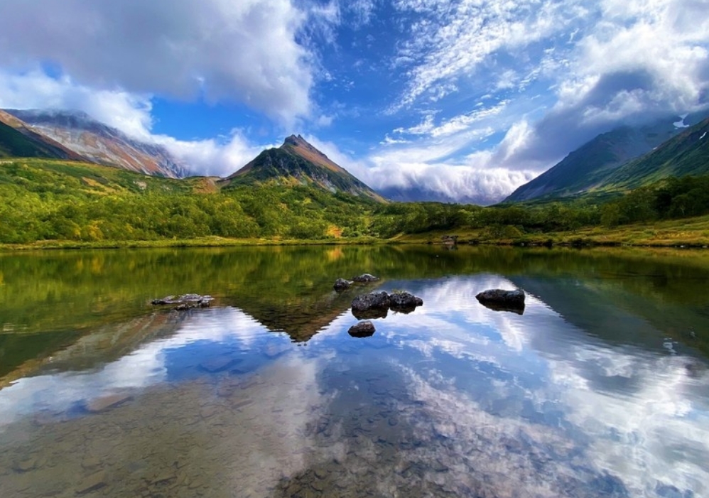 Фото организации