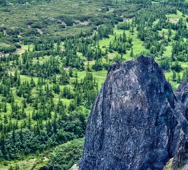 Фото организации