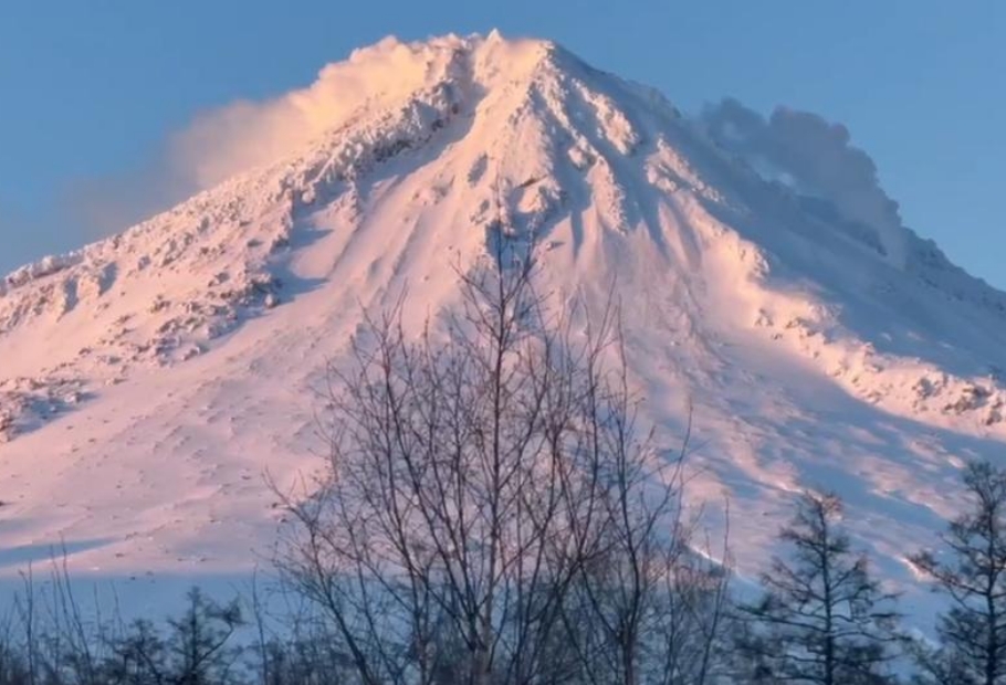 Фото организации