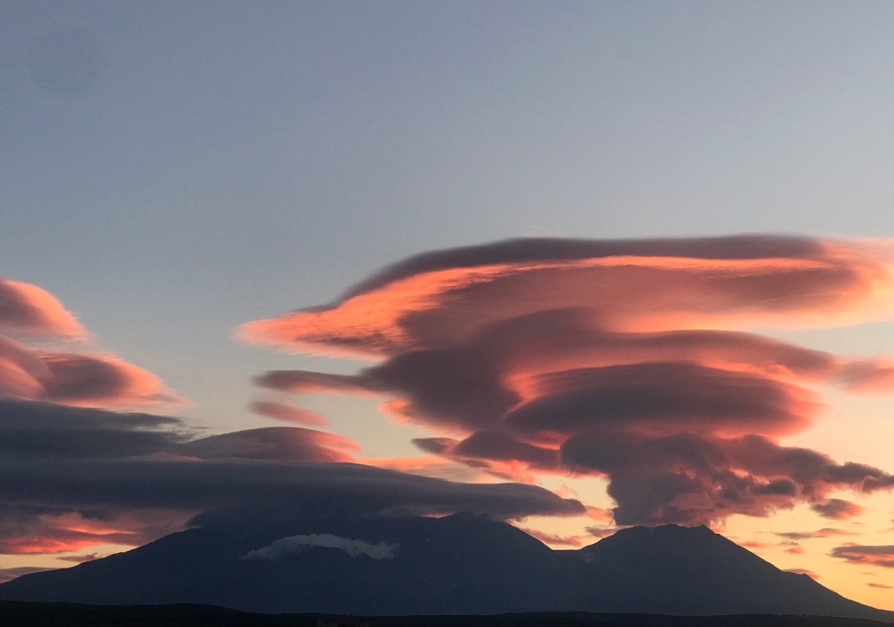 Фото организации