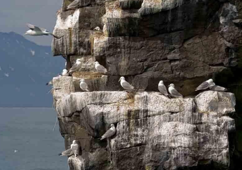 Фото организации