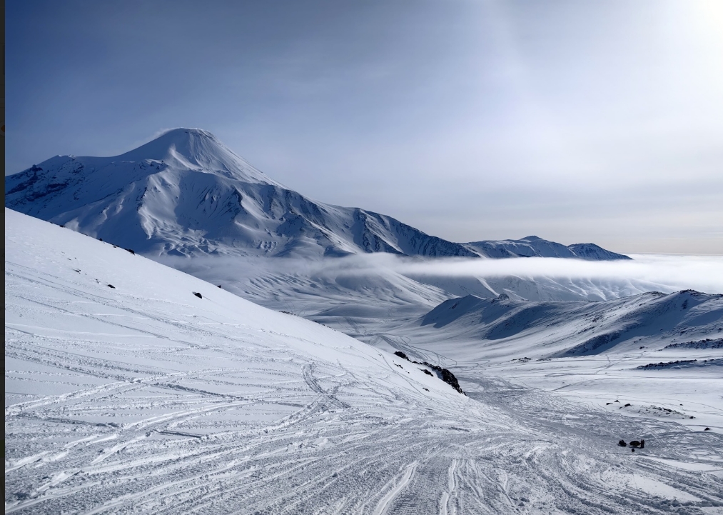 Фото организации