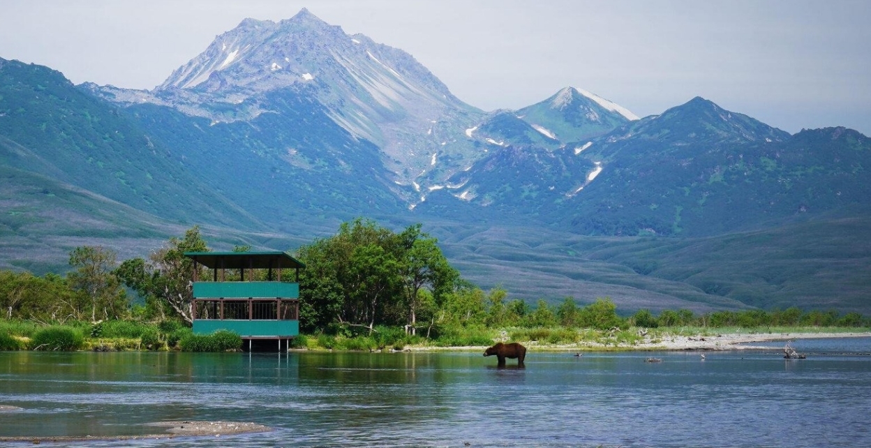 Фото организации