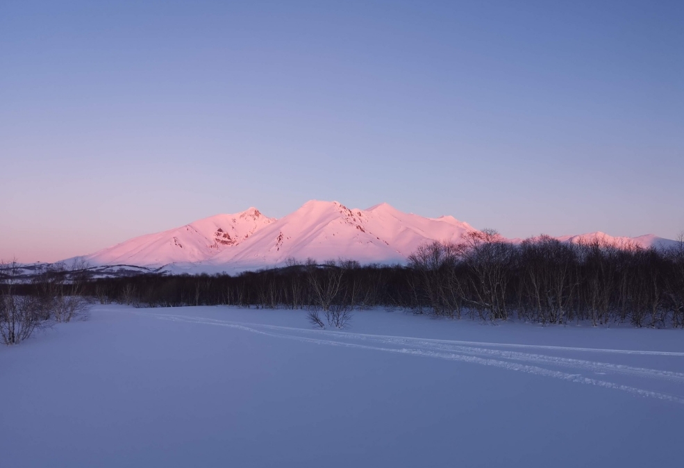 Фото организации
