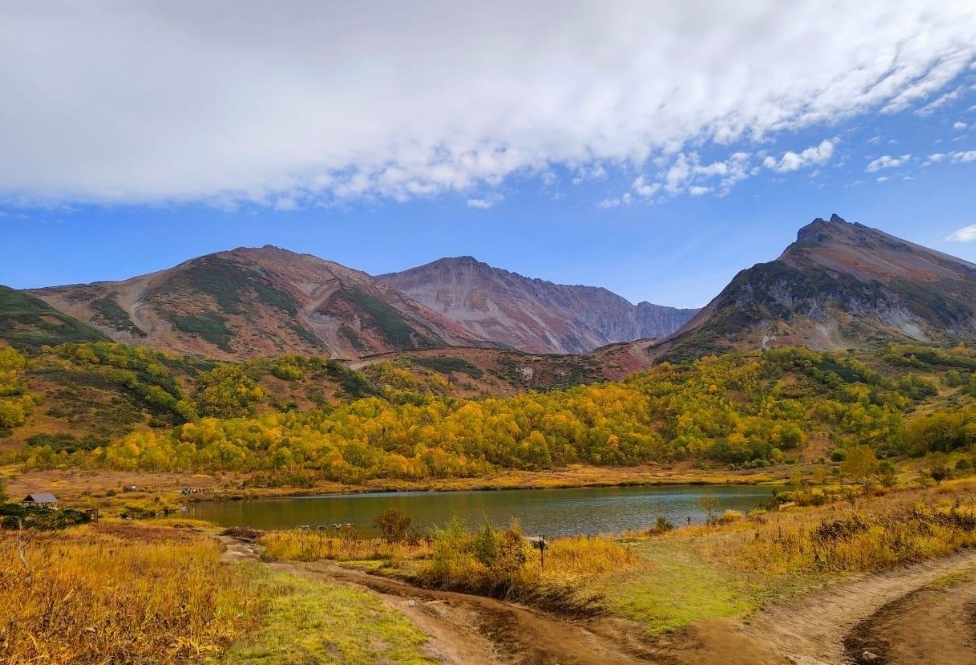 Фото организации